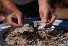 AA-20250919-39160934-39160920-IZMIRDE_ALTIN_DAMLAYAN_AGAC_SAYISI_15_YILDA_100_KAT_ARTTI