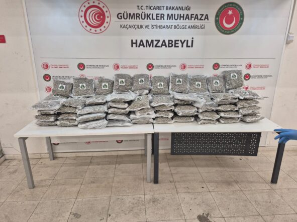 TÜRKİYE İSPANYA