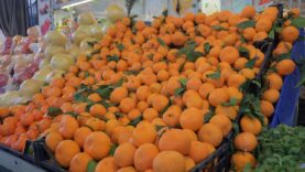 narenciye ihracat