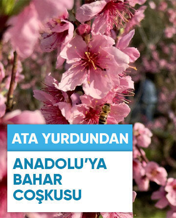 ATA YURDUNDAN ANADOLU’YA BAHAR COŞKUSU