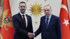 erdogan-gorusmeler